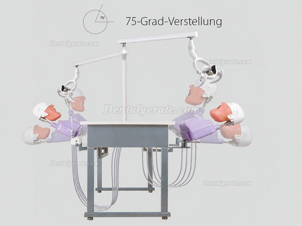Jingle JG-A4 Phantomk&ouml;pfe Dentale Simulationseinheiten Patientensimulator